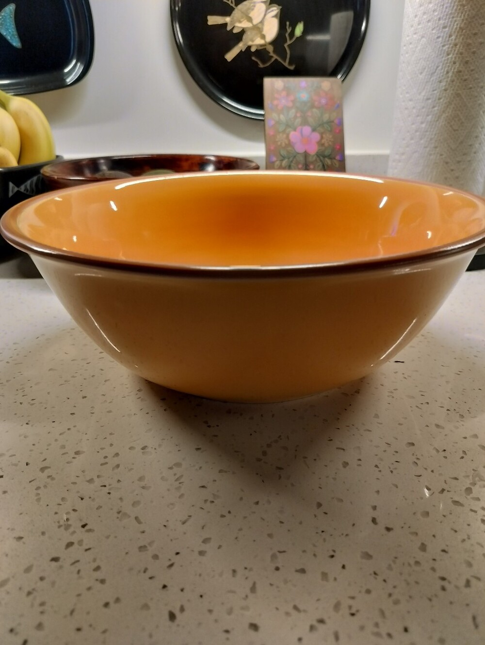 Bobby Flay Plancha Orange Terracotta 12” Large Serving Mixing Bowl Stoneware